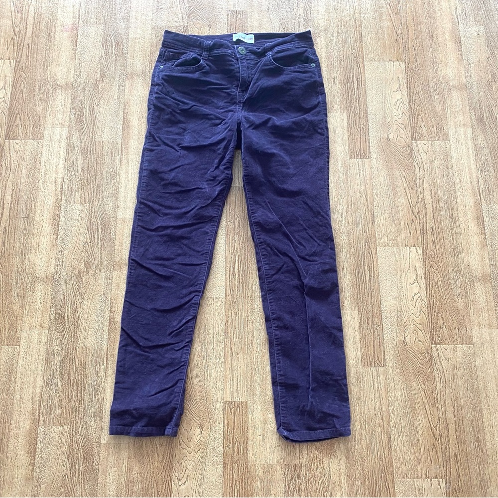 Style & Co Denim Purple Brushed Velvety/ Velour Feel Jeans Pants Petite Size 6P